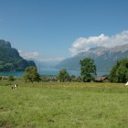 brienz-007696